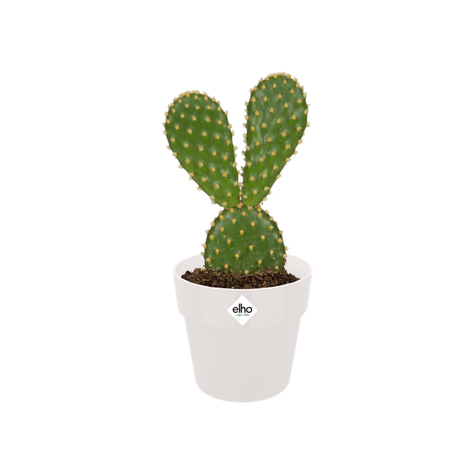 b.for original rund mini 7cm weiss